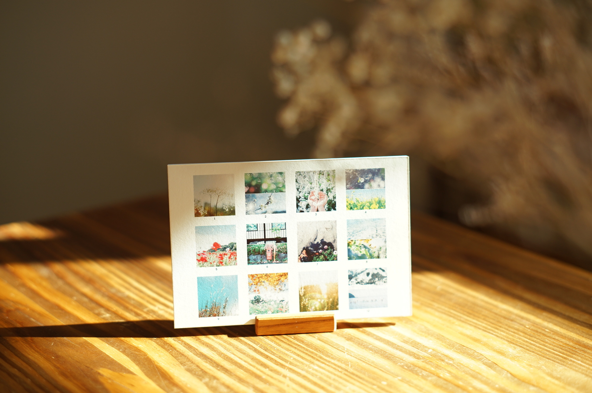 ポストカード 活用