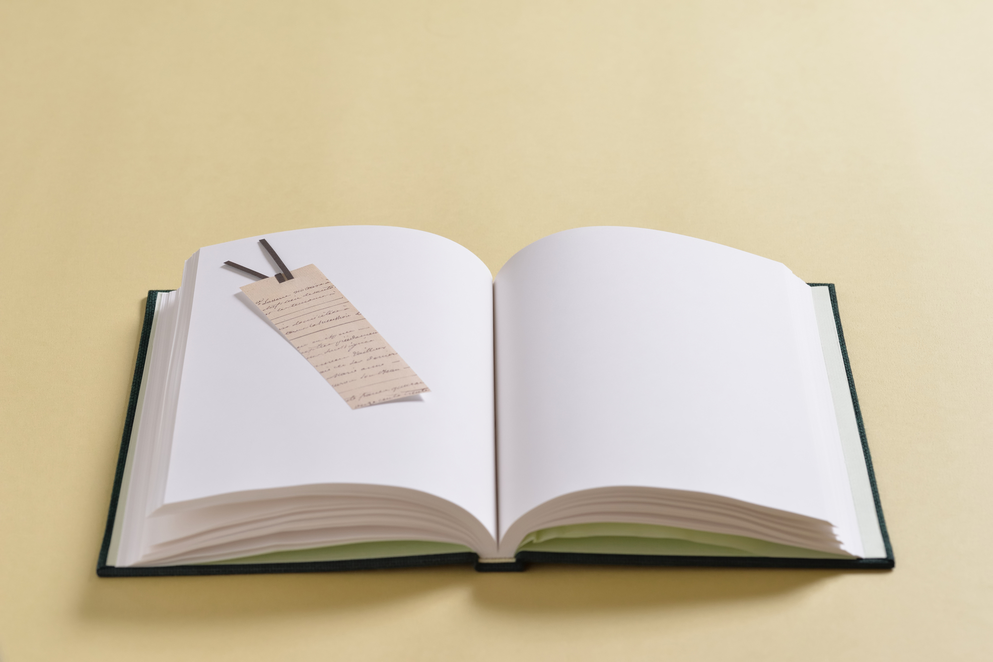 タイトバックとは