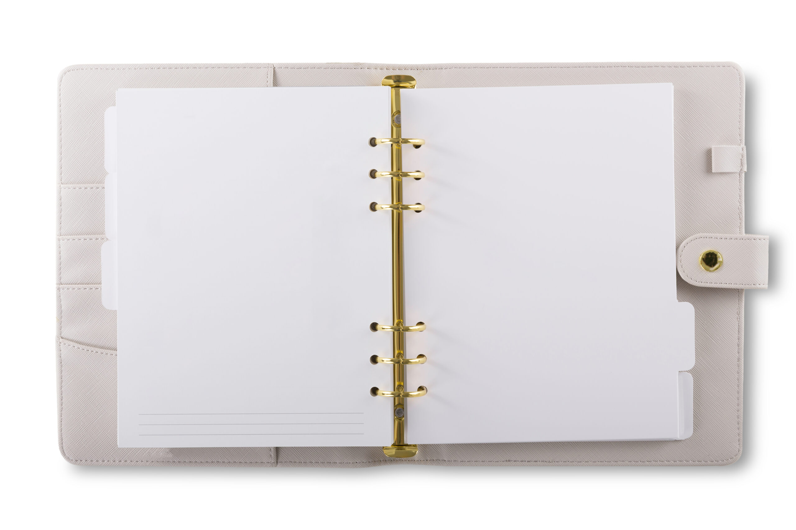 リング綴じ用途