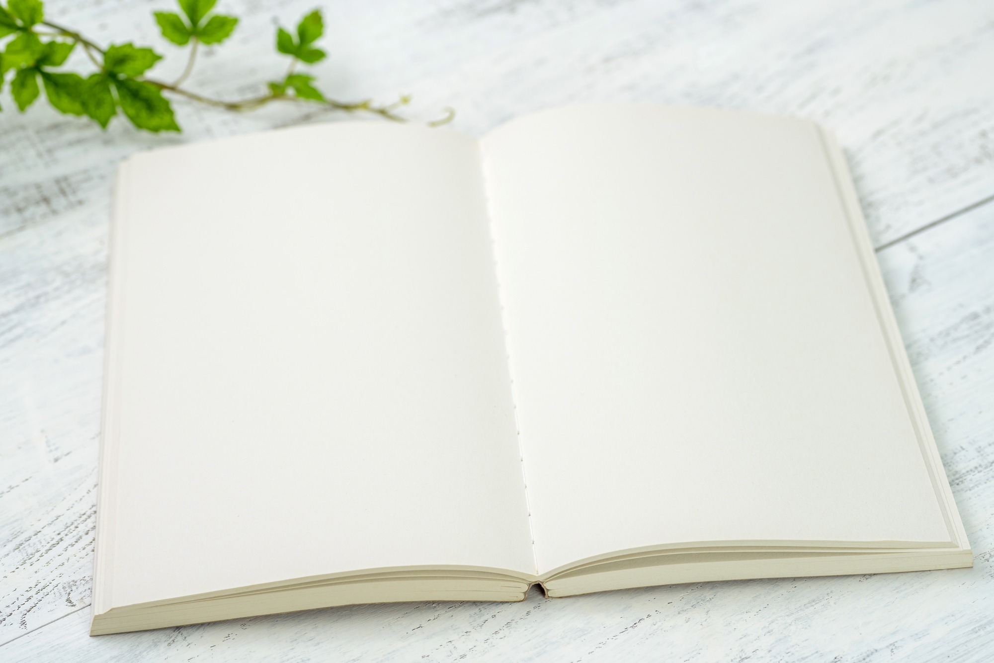 糸かがり綴じとは